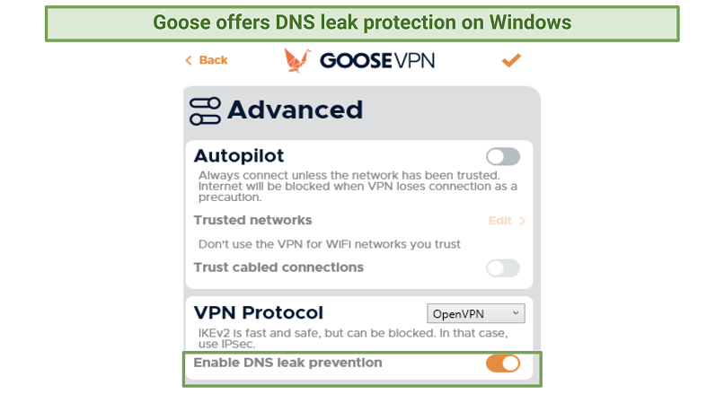 A screenshot showing Goose offers DNS leak protection