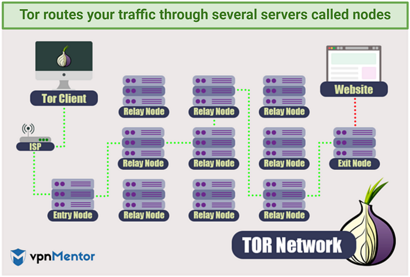 What Is the Difference Between Proxy vs VPN vs Tor?