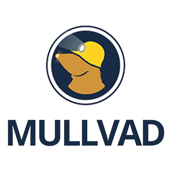 mullvad android tv
