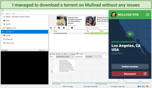 Mullvad Browser download the new