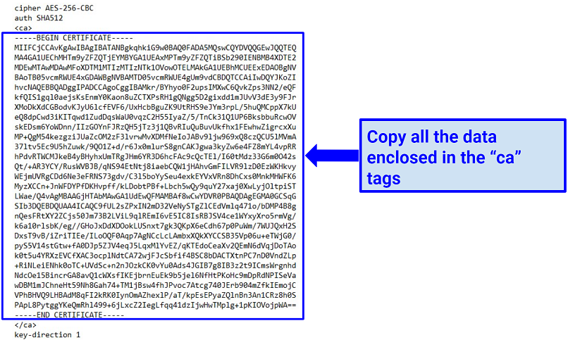 A screenshot of data from NordVPN configuration file