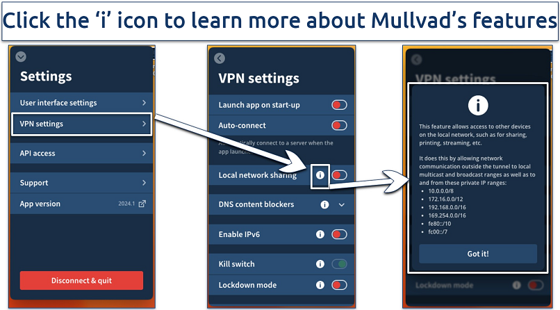 Screenshot of the Mullvad VPN settings
