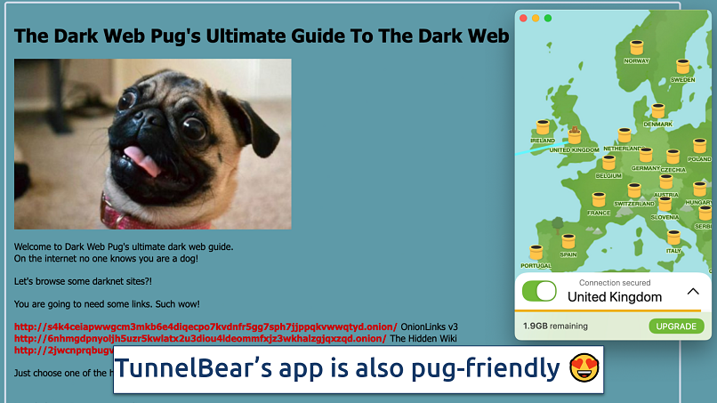 Screenshot showing TunnelBear's simple app over a dark web page