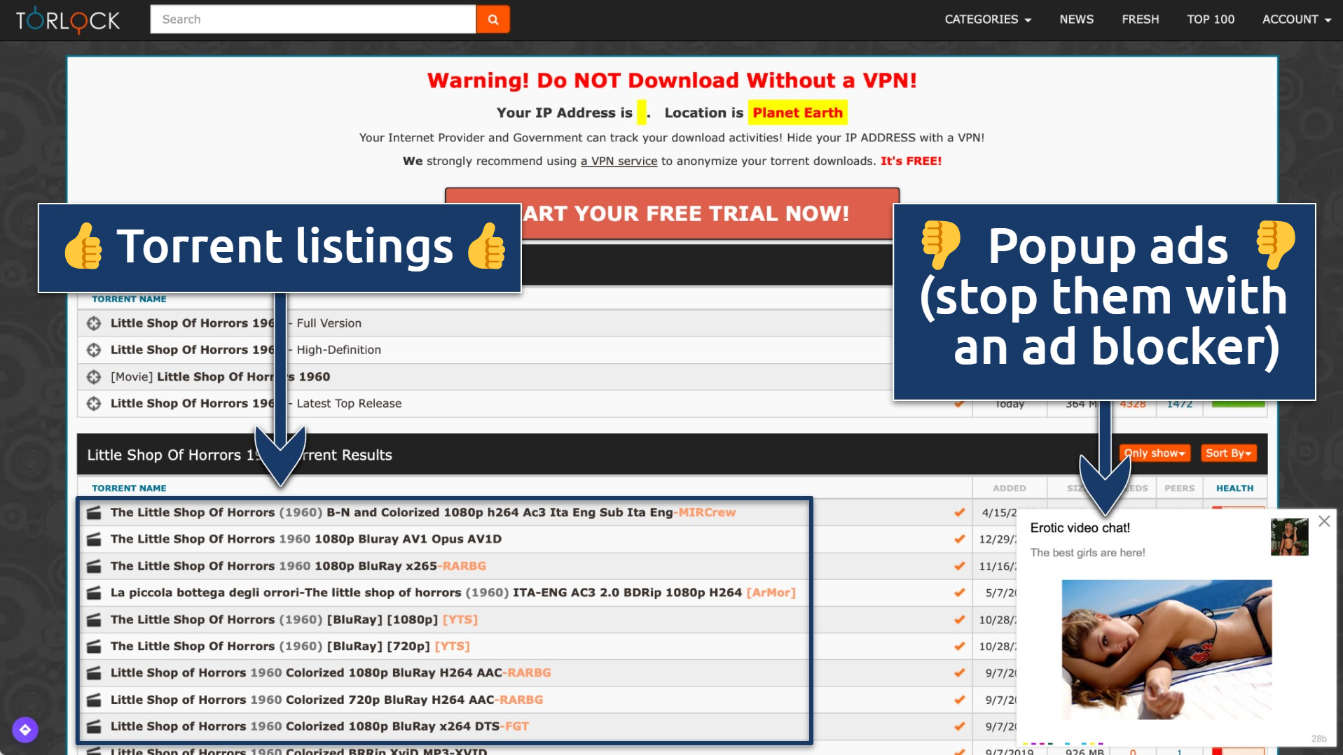 12 Best Torrent Sites That Are Safe and Work in 2024