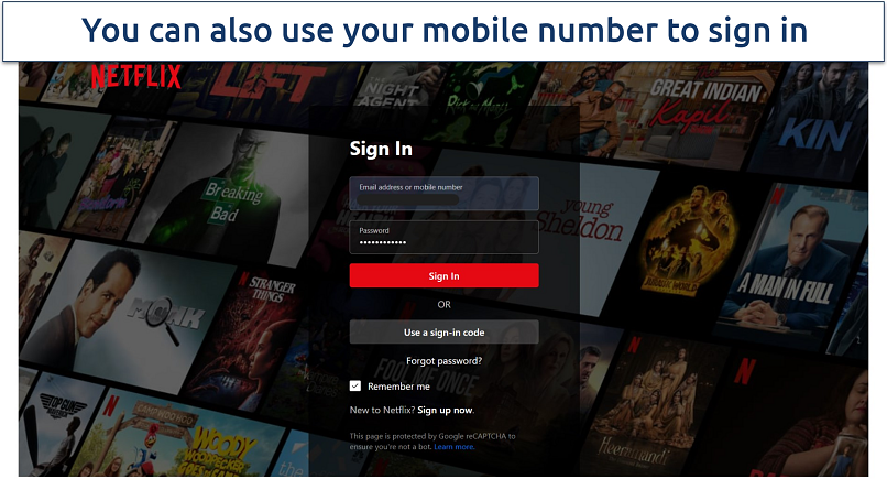Screenshot of Netflix platform login page interface
