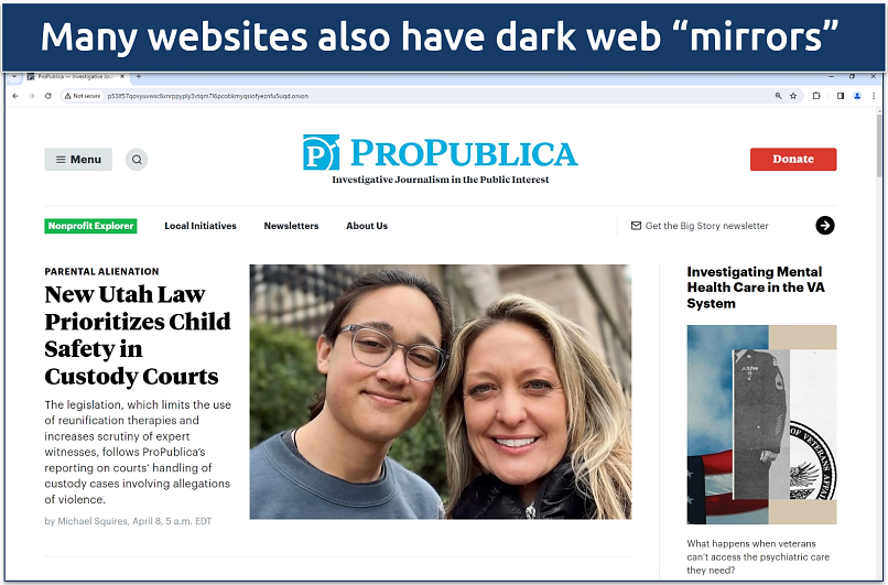 A screenshot of ProPublica's dark web site