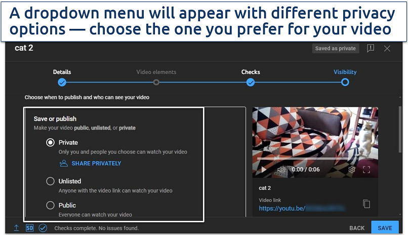 A screenshot of YouTube video upload visibility settings