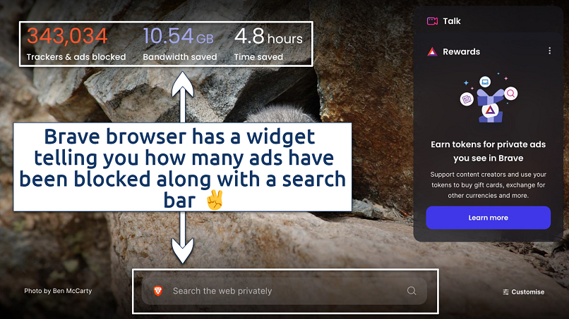 Screenshot showing Brave browser's ad blocking and in-built search bar