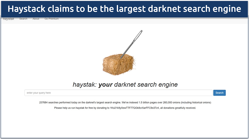 Image showing the landing page of Haystack browser