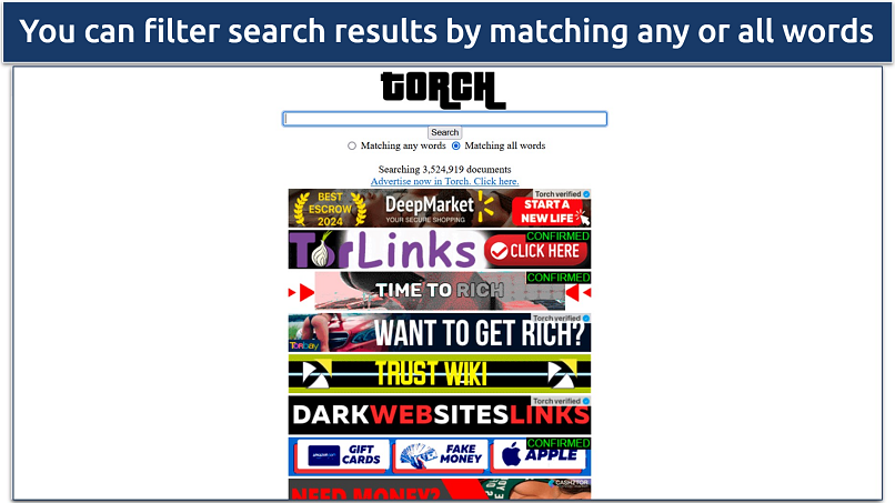 Image showing the landing page of Torch