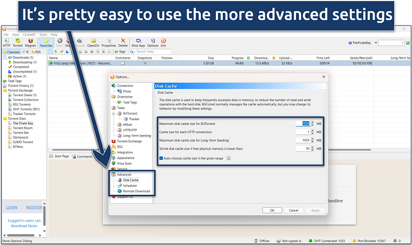 Screenshot of BitComet's advanced Disk Cache and long-term seeding settings