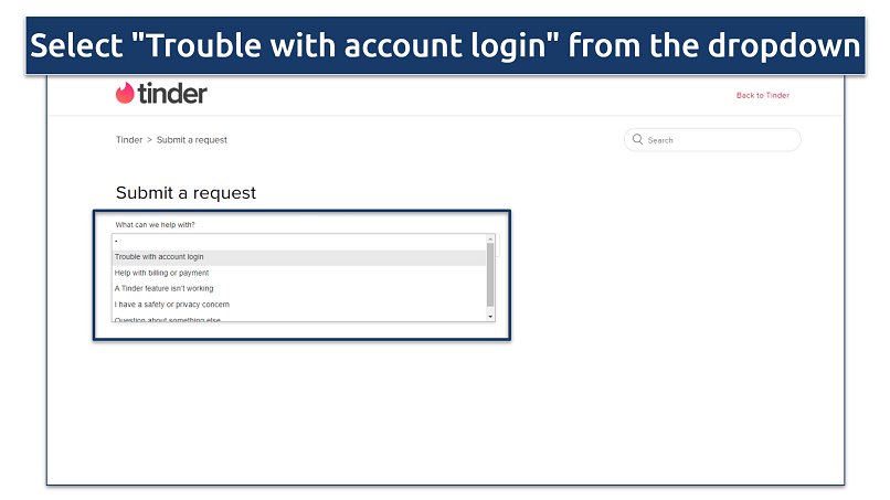 Screenshot of Tinder Submit a request page