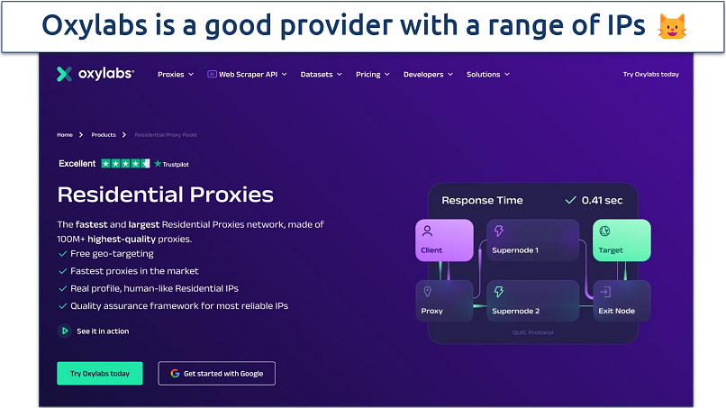 Screenshot of the Oxylabs proxies page