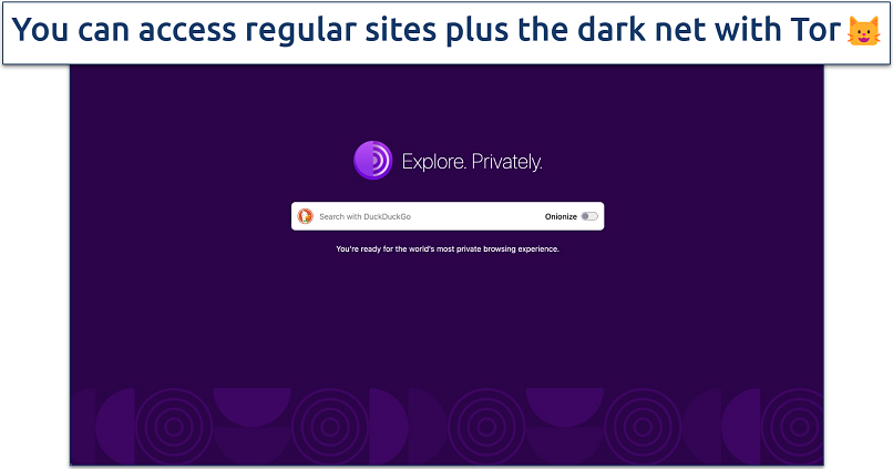 Screenshot of the Tor Browser homepage