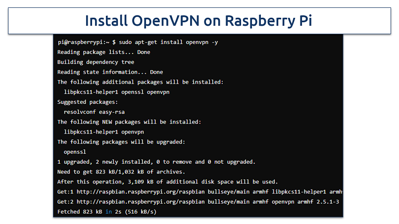 Screenshot of installing OpenVPN on Raspberry Pi