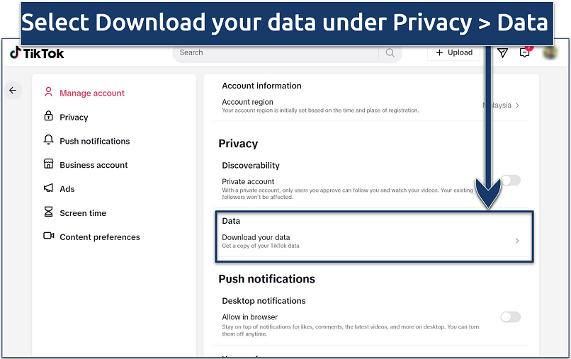 Screenshot of the TikTok Privacy Data settings in the website interface