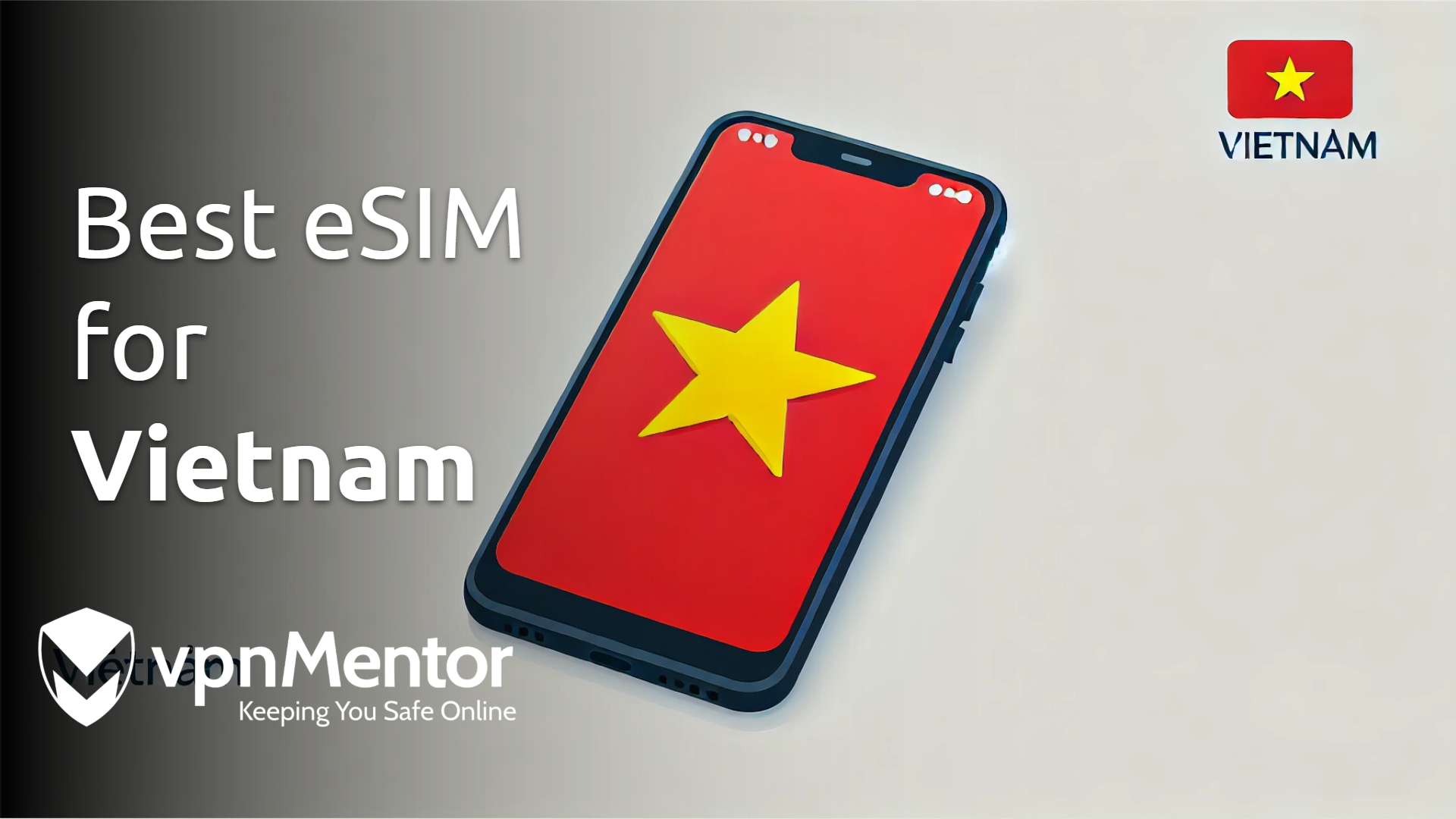 5 Best eSIMs for Vietnam: Tourist Plans, Price, Roaming (2025)