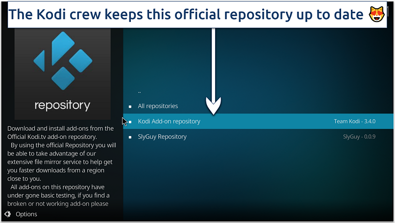 Screenshot showing the Kodi Add-on repository option in Kodi